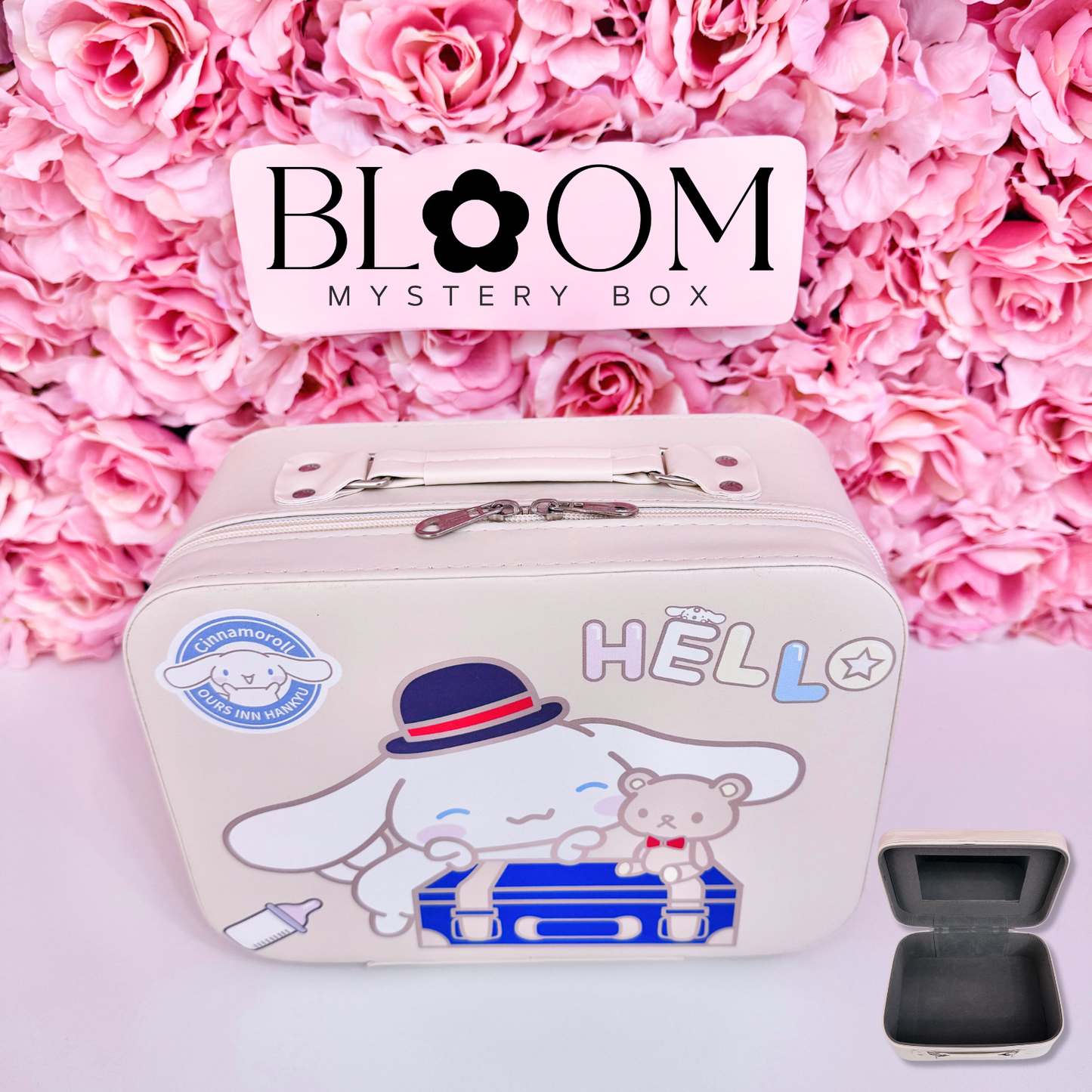 Mystery Suitcase